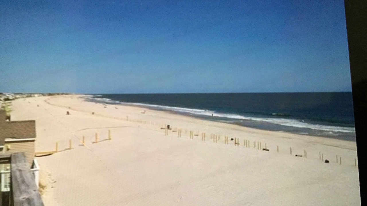 Photo of Others in South Beach Haven