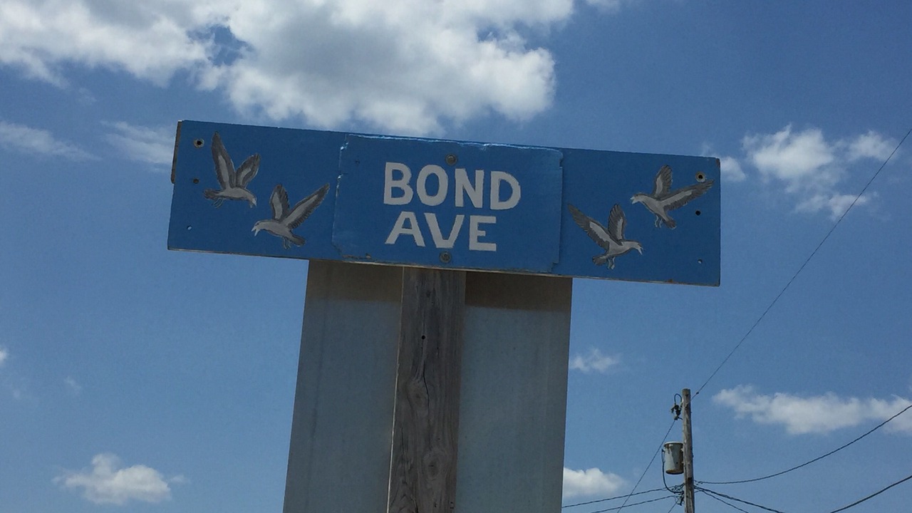 Photo of Others in Lavallette