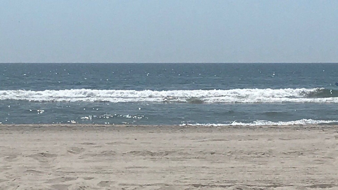 Photo of Others in South End