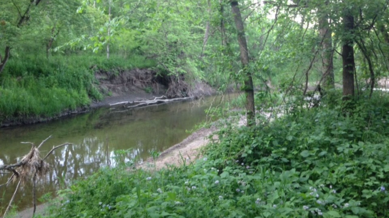 Photo of Outdoor in Janesville