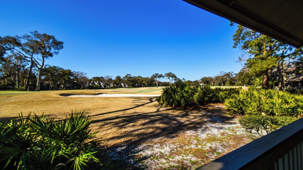 Photo of Others in Palmetto Dunes