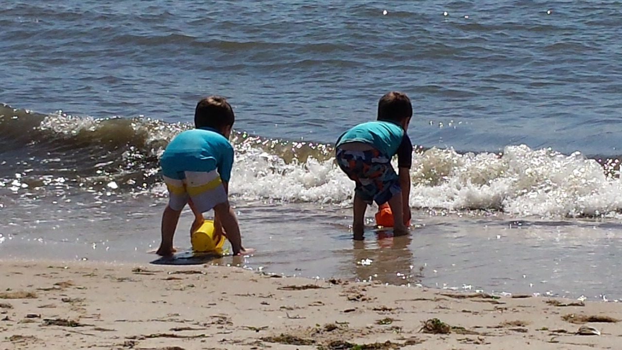 Photo of Others in North Cape May