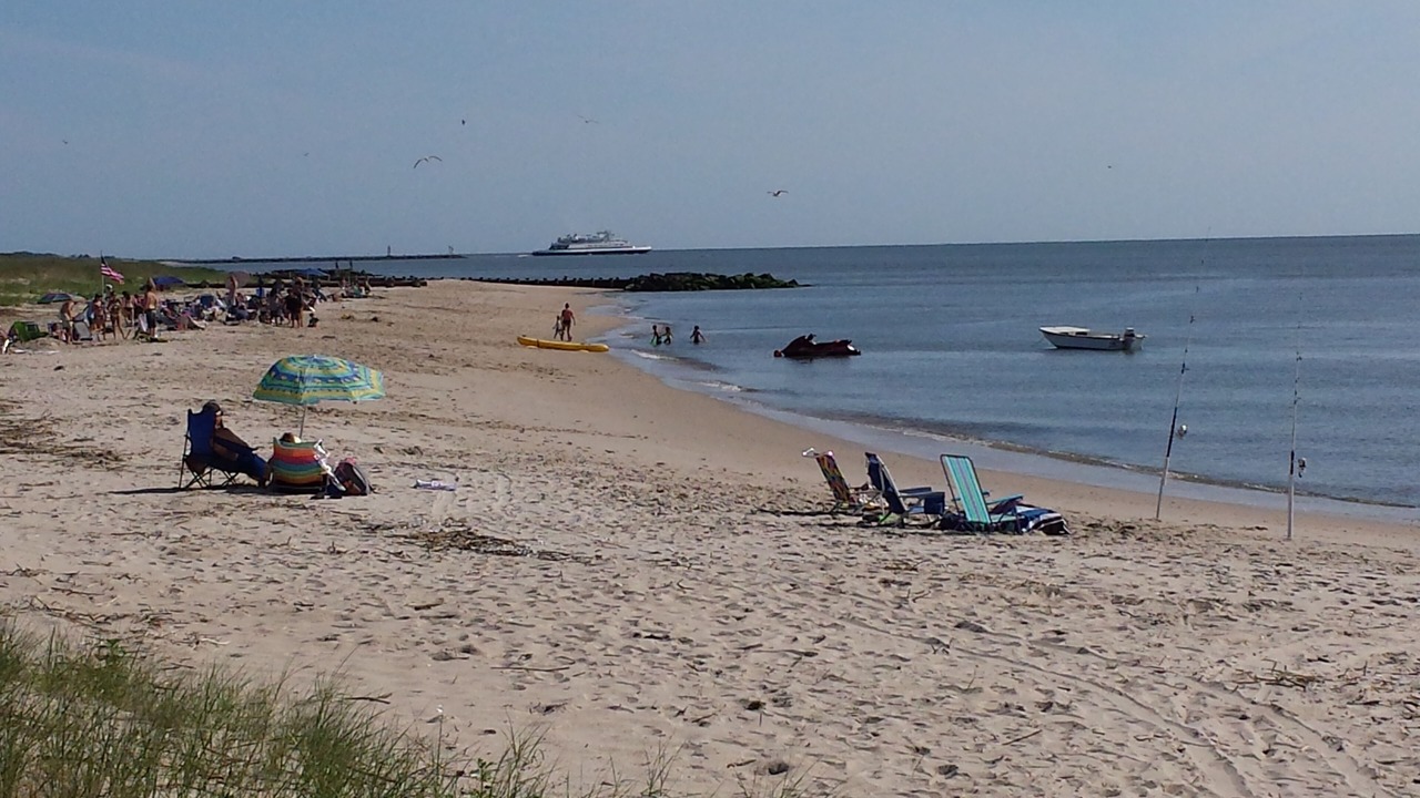 Photo of Others in North Cape May