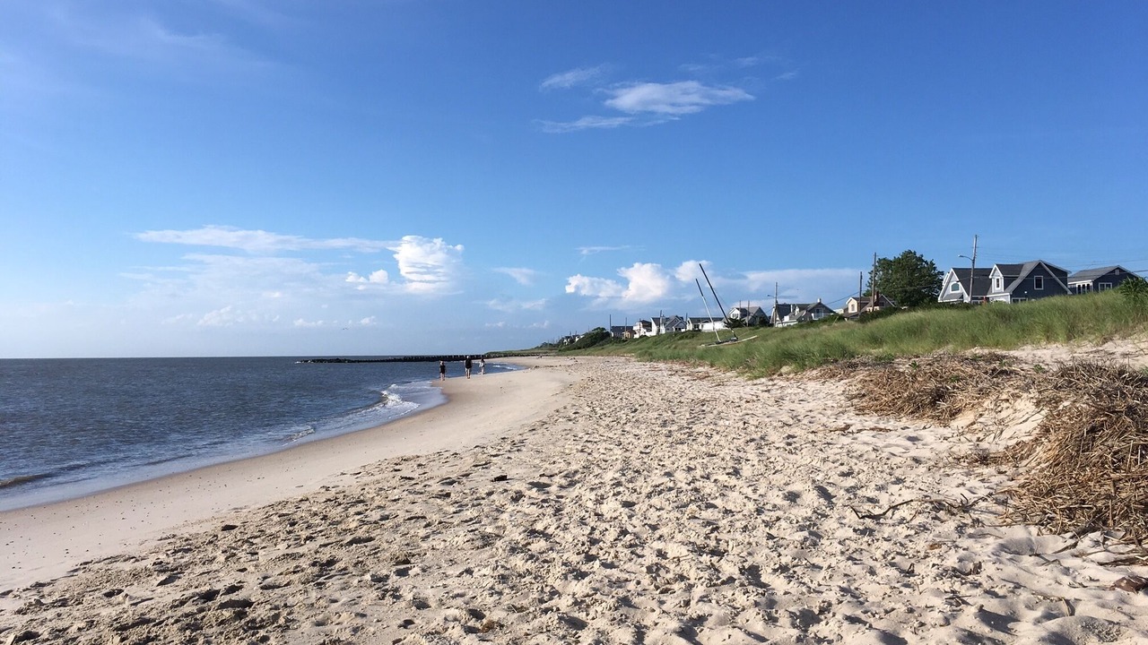 Photo of Others in North Cape May
