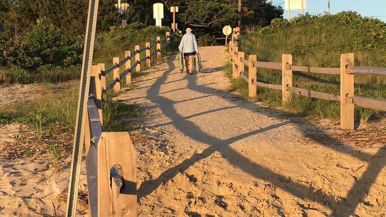 Photo of Others in North Cape May