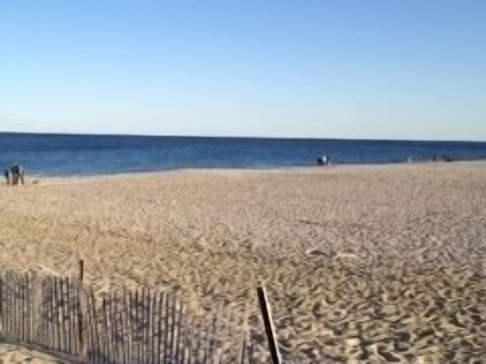 Photo of Others in Bay Head