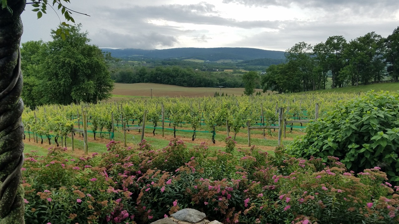 Photo of Outdoor in Philomont