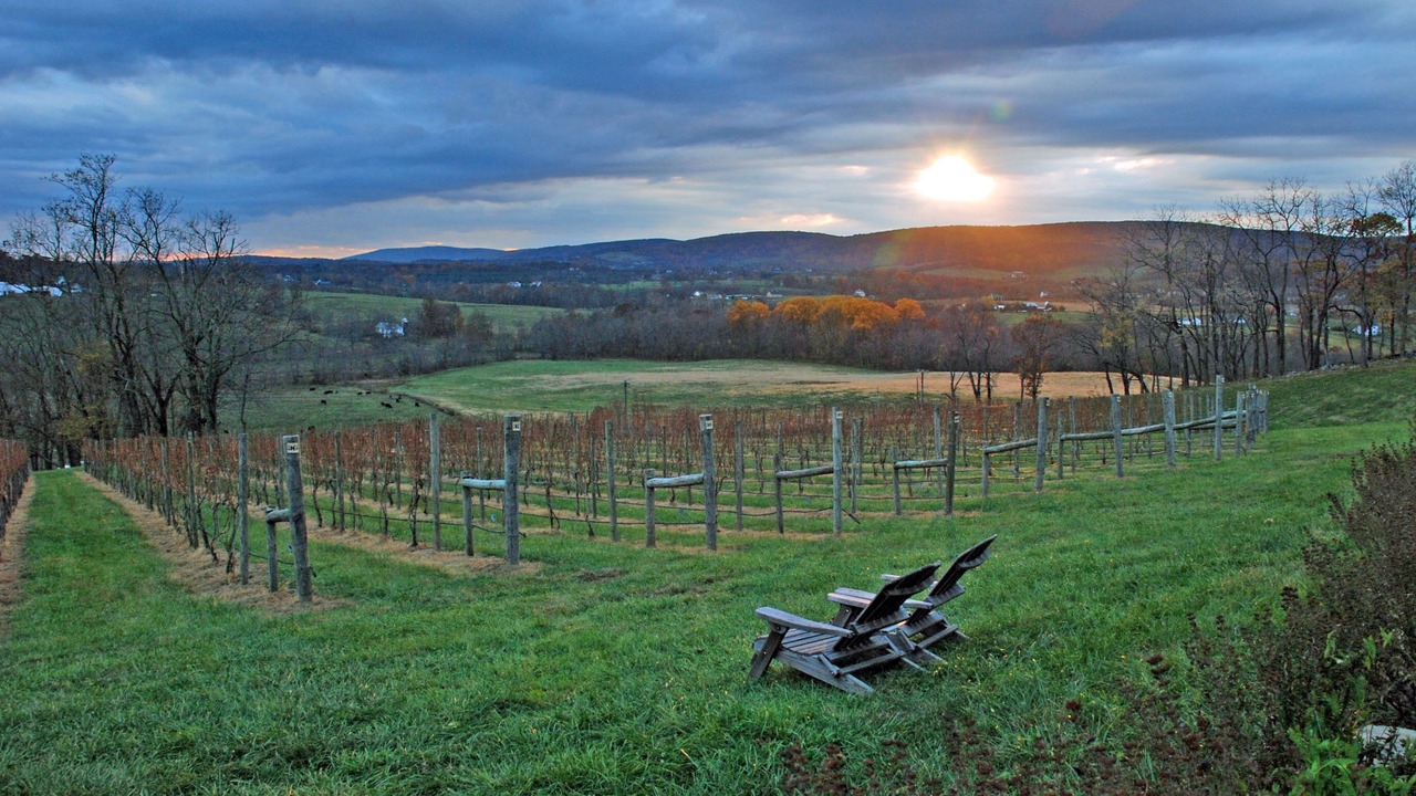 Photo of Outdoor in Philomont