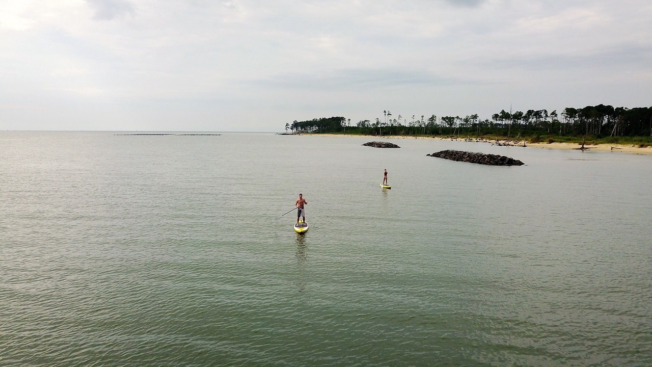 Photo of Others in Windmill Point