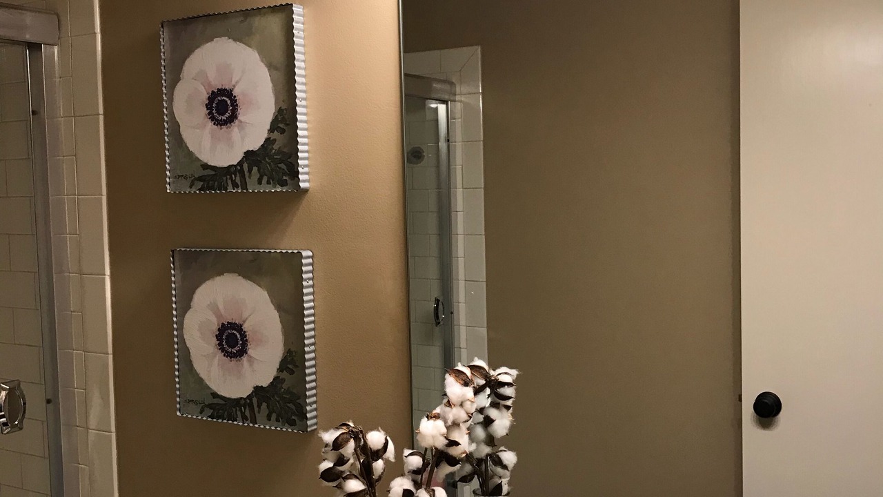 Photo of Bathroom in Chalco