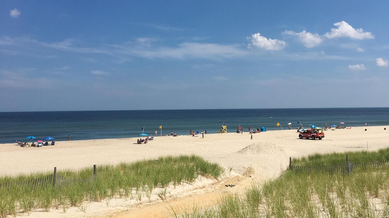 Photo of Others in South Beach Haven