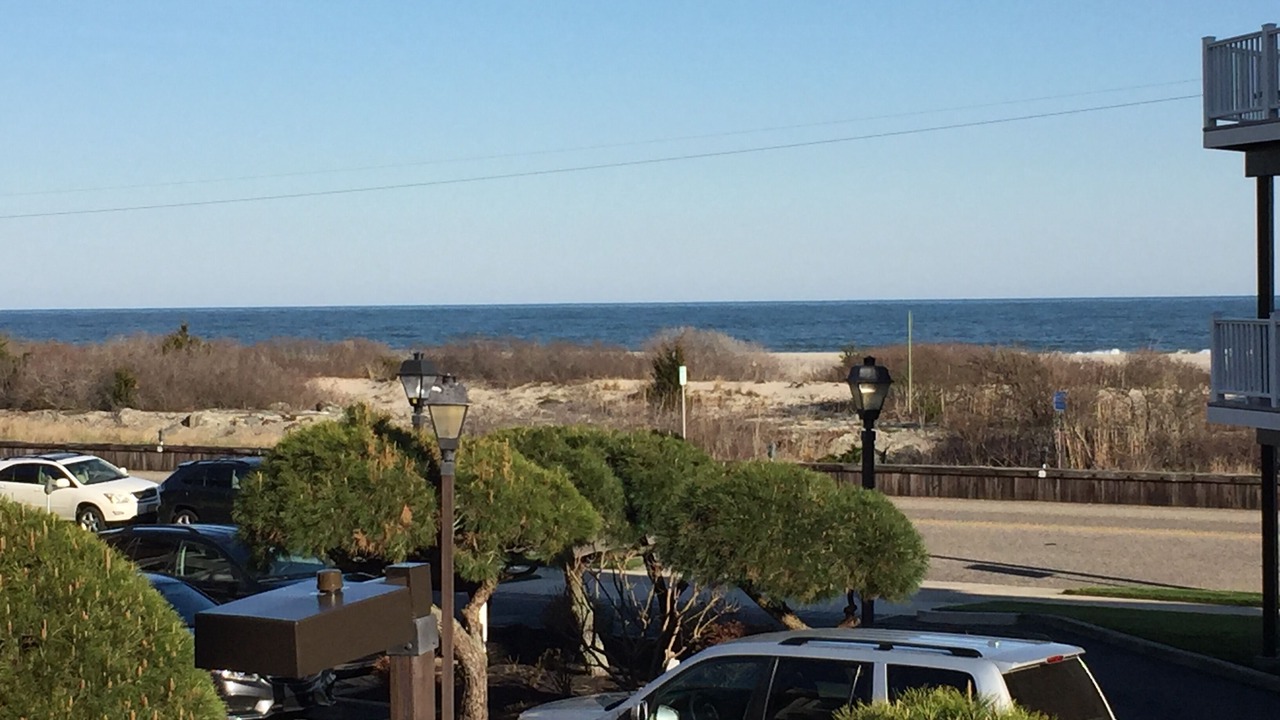 Photo of Others in Cape May