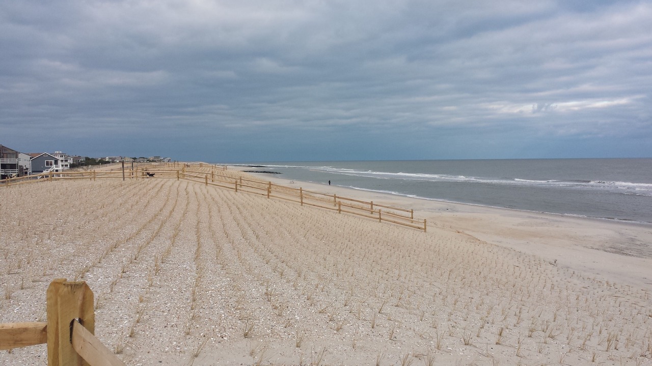 Photo of Others in South Beach Haven