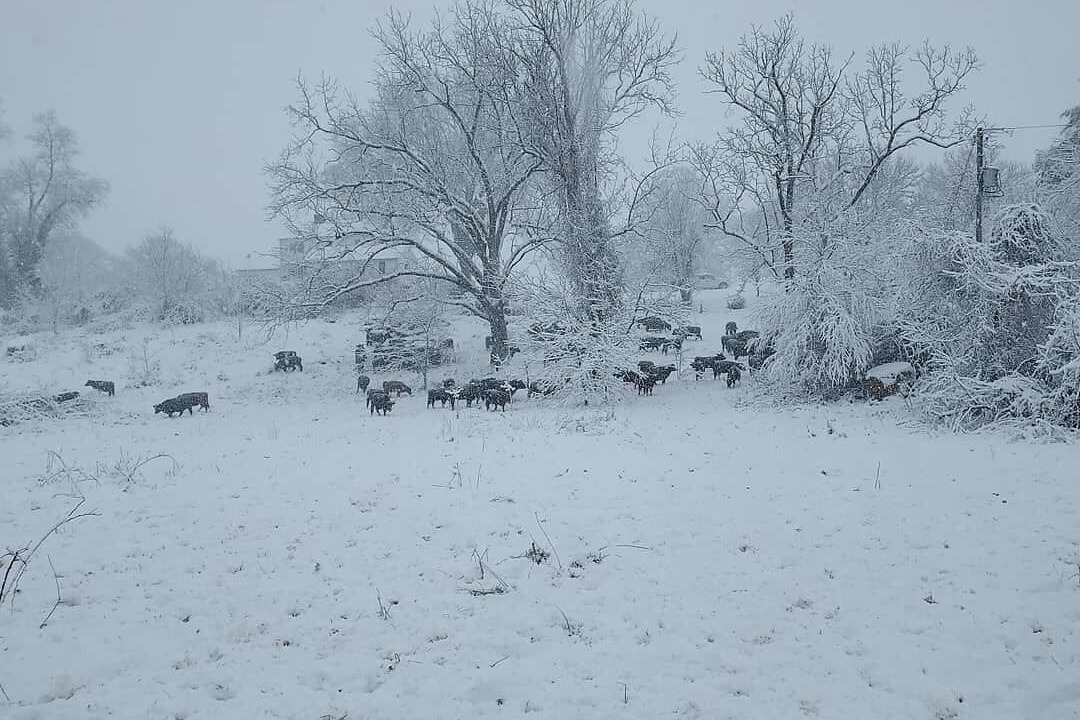 Photo of Others in Warrenton