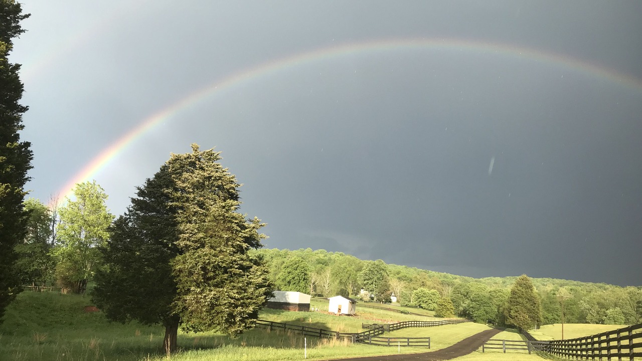 Photo of Outdoor in Warrenton