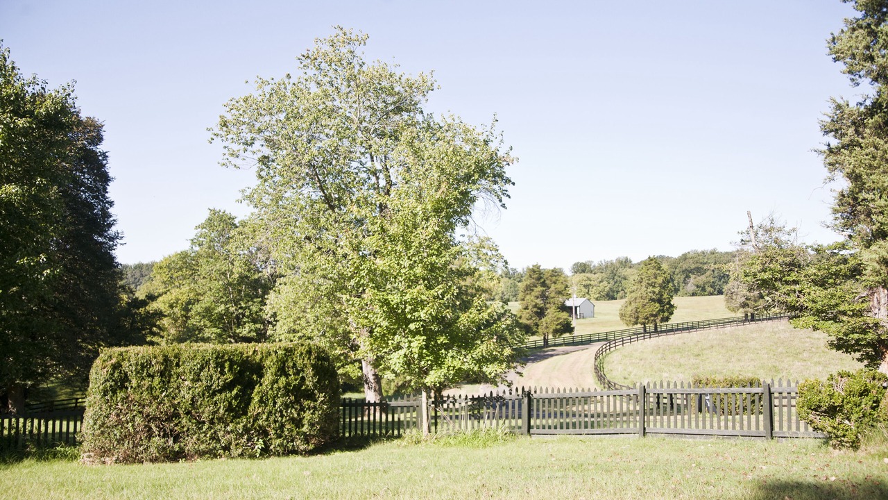 Photo of Others in Warrenton