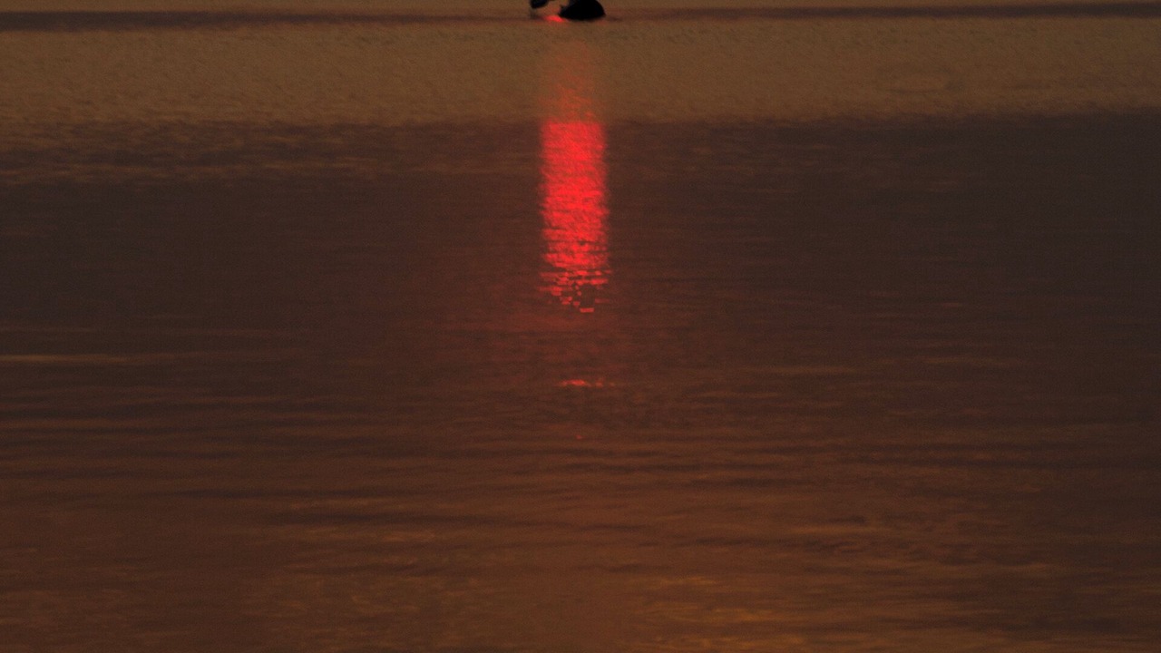 Photo of Others in Ortley Beach