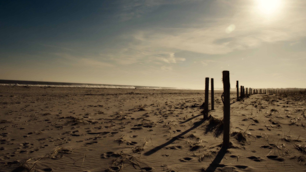 Photo of Others in Ortley Beach