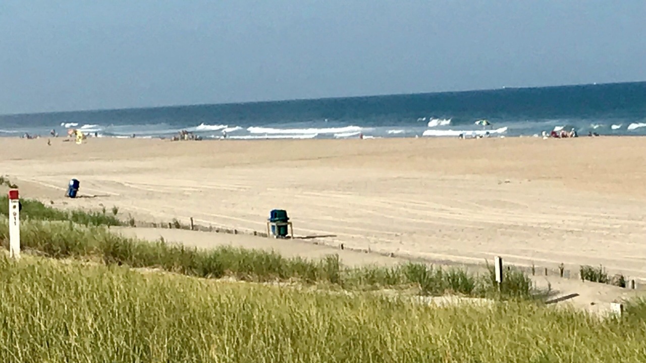 Photo of Others in North Beach Haven