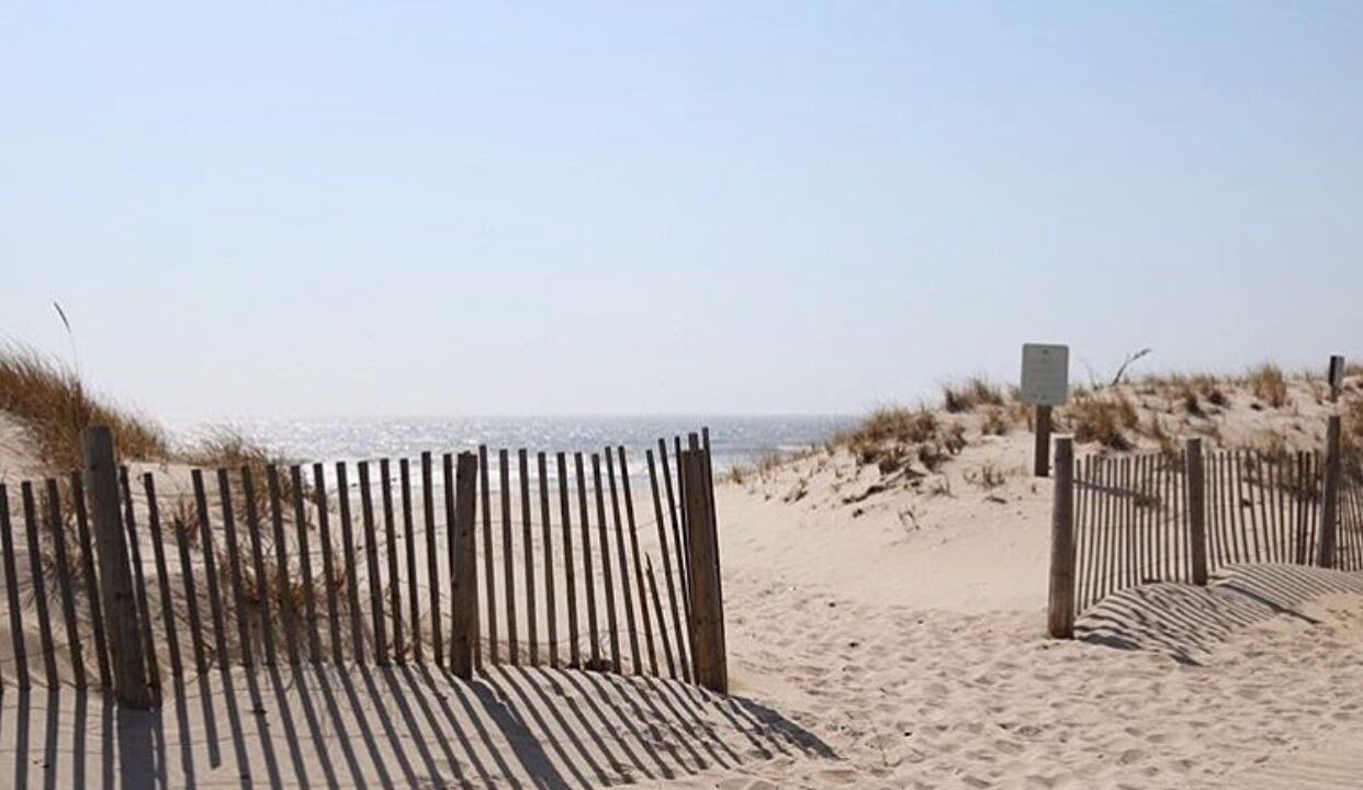 Photo of Others in Lavallette