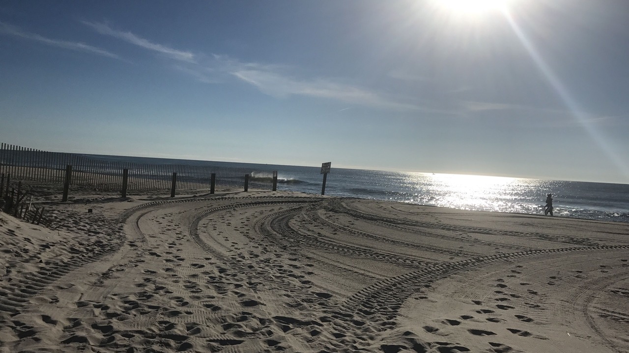 Photo of Others in Ortley Beach