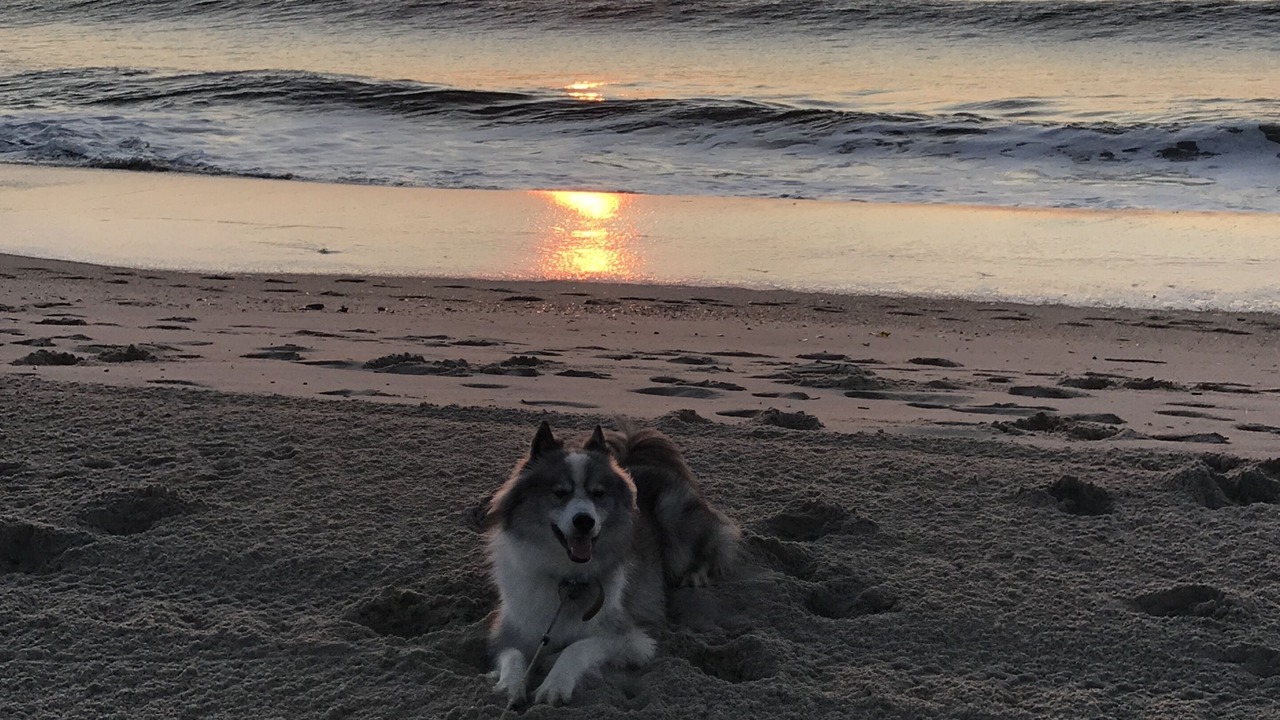 Photo of Others in Ortley Beach