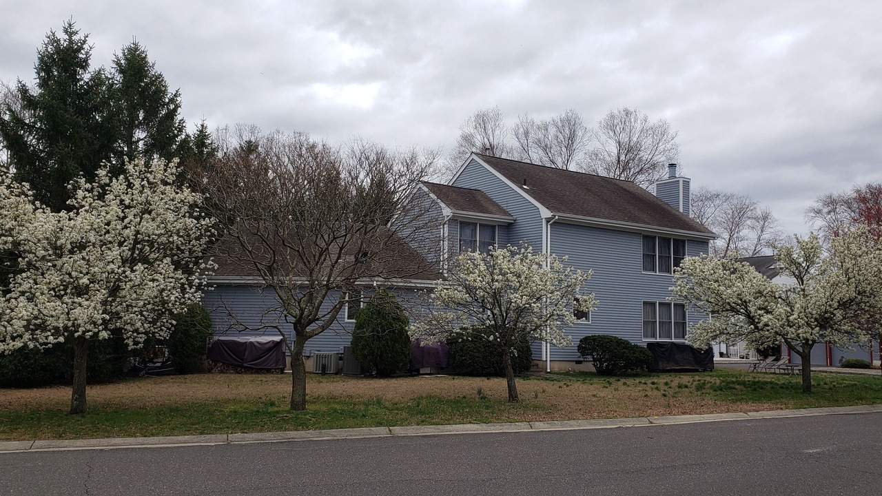 Photo of Outdoor in Point Pleasant