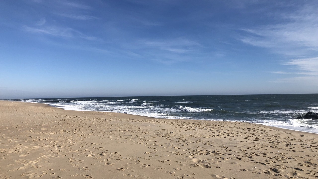 Photo of Others in Ocean Grove