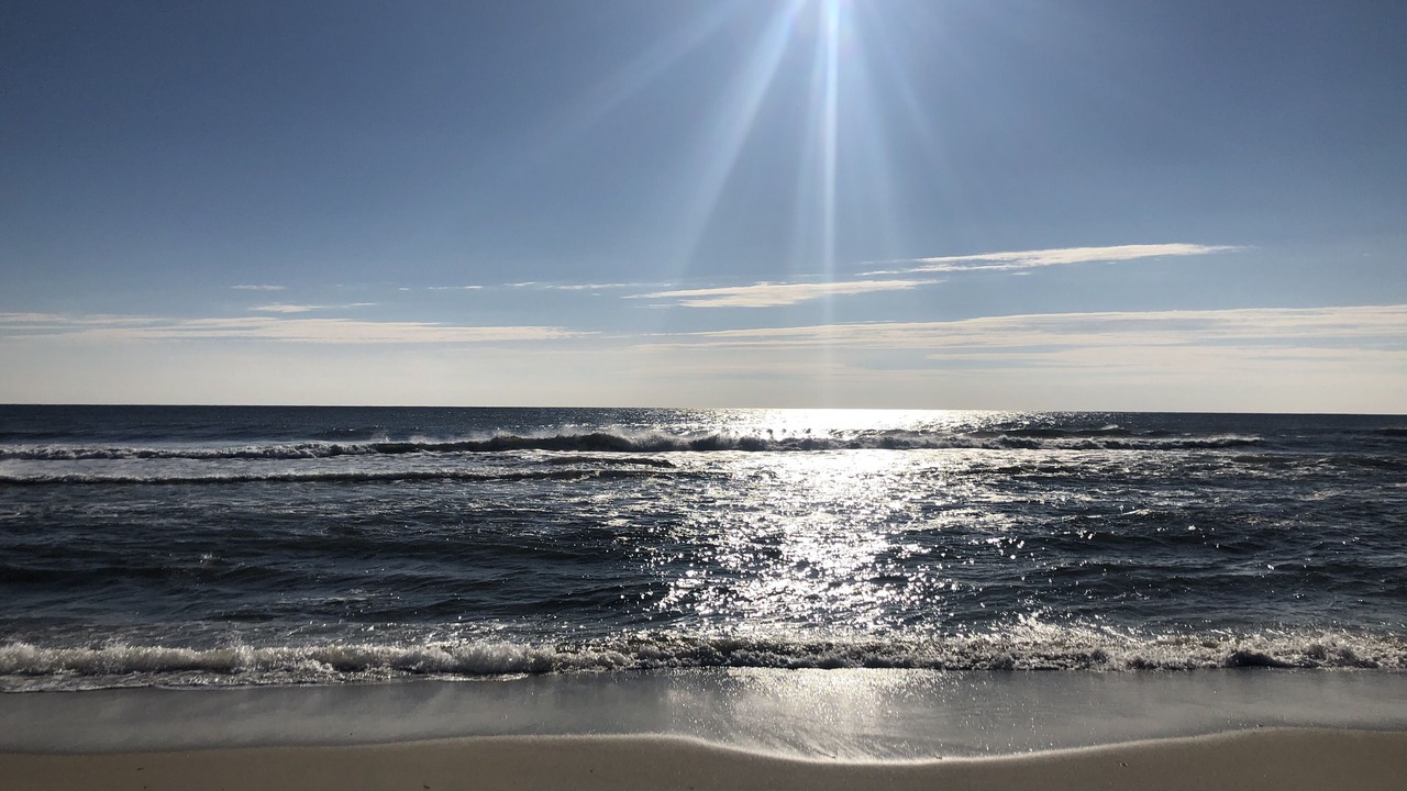 Photo of Others in Ocean Grove