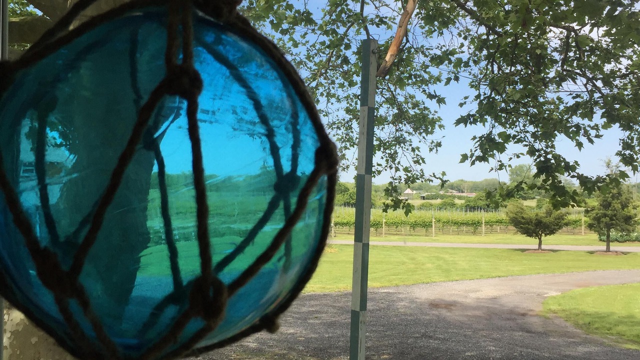Photo of Outdoor in West Cape May