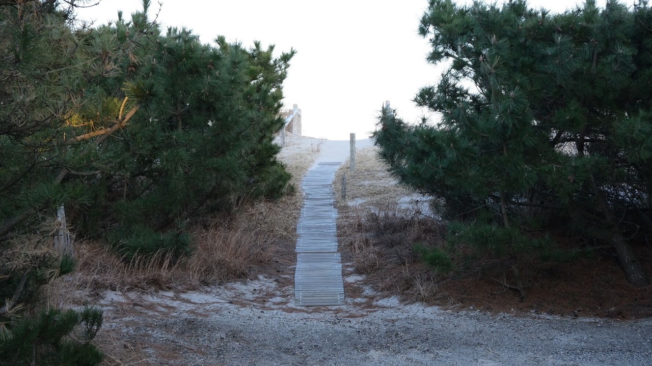 Photo of Others in Harvey Cedars