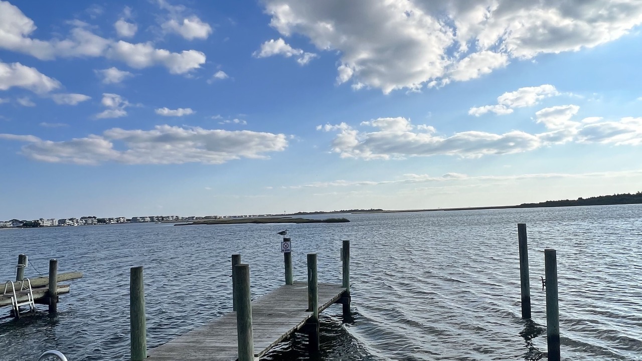 Photo of Others in Manahawkin