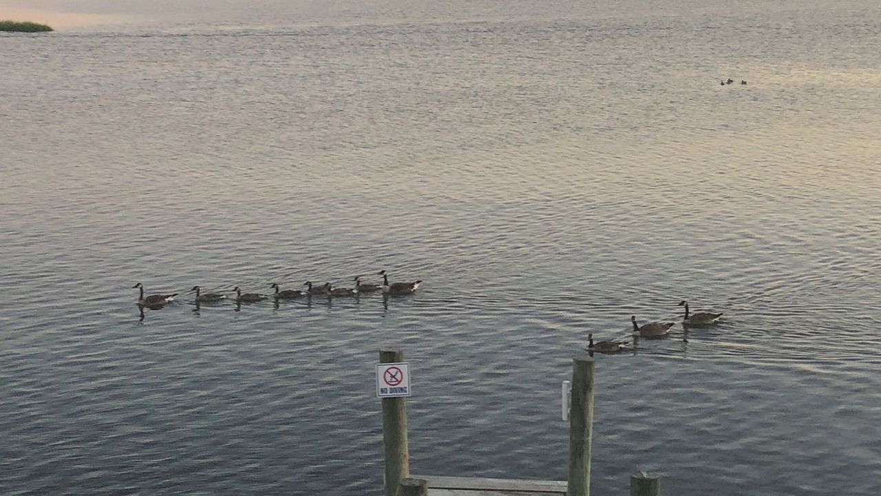 Photo of Others in Manahawkin