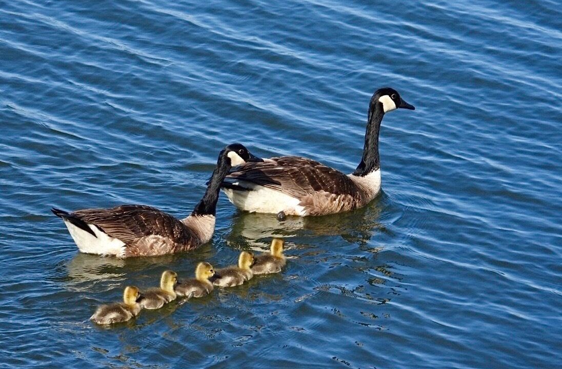 Photo of Others in Manahawkin