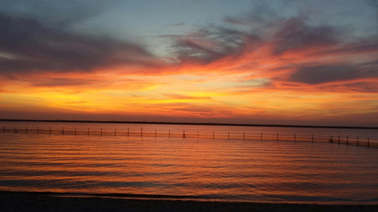 Photo of Others in Surf City