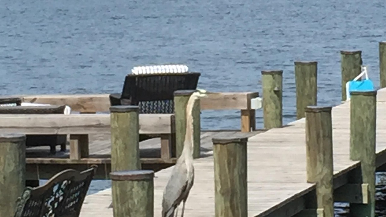 Photo of Others in Severna Park