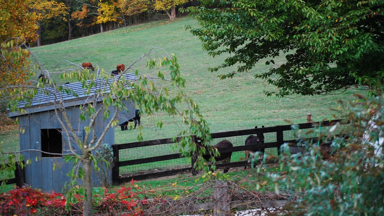 Photo of Outdoor in Philomont