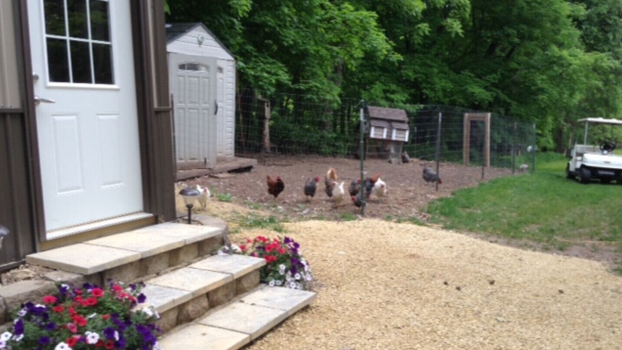 Photo of Outdoor in Janesville