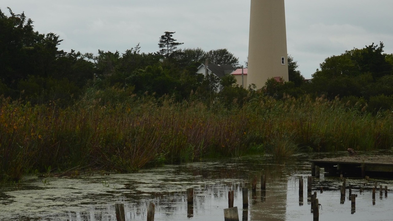 Photo of Others in West Cape May