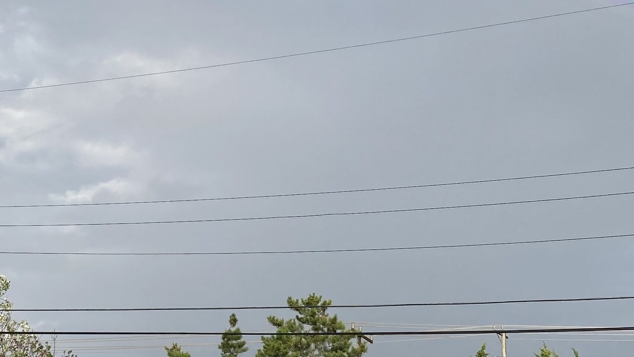 Photo of Others in Harvey Cedars