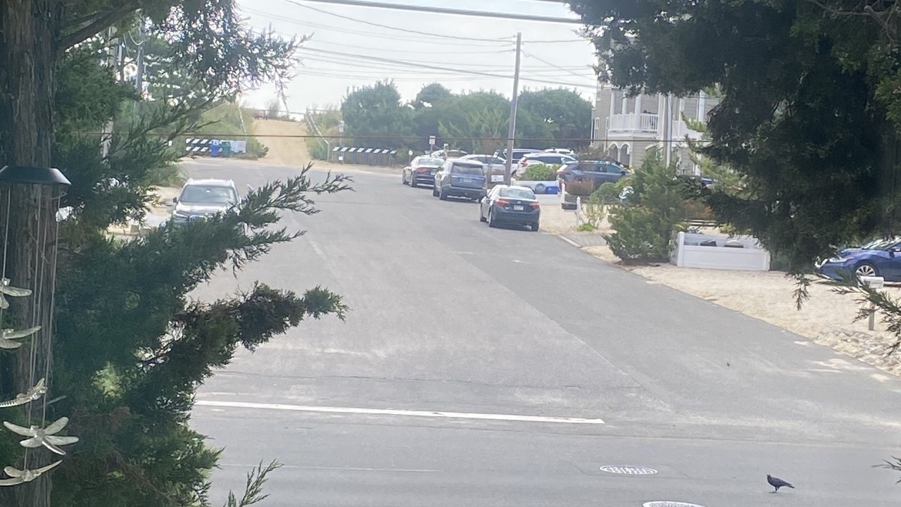 Photo of Others in Harvey Cedars