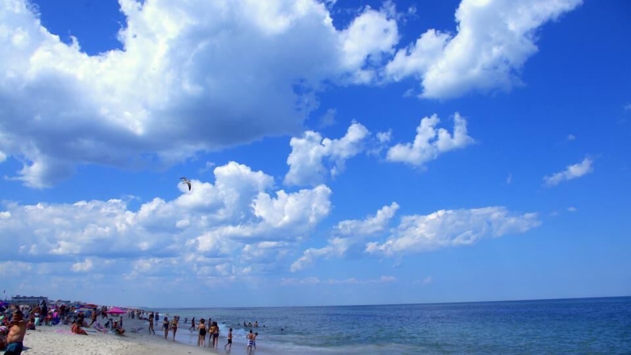 Photo of Others in Ortley Beach