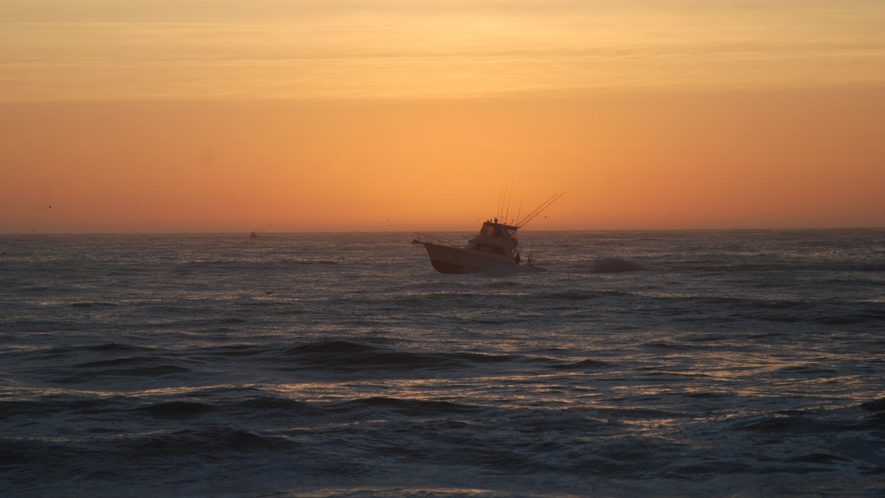 Photo of Others in Belmar