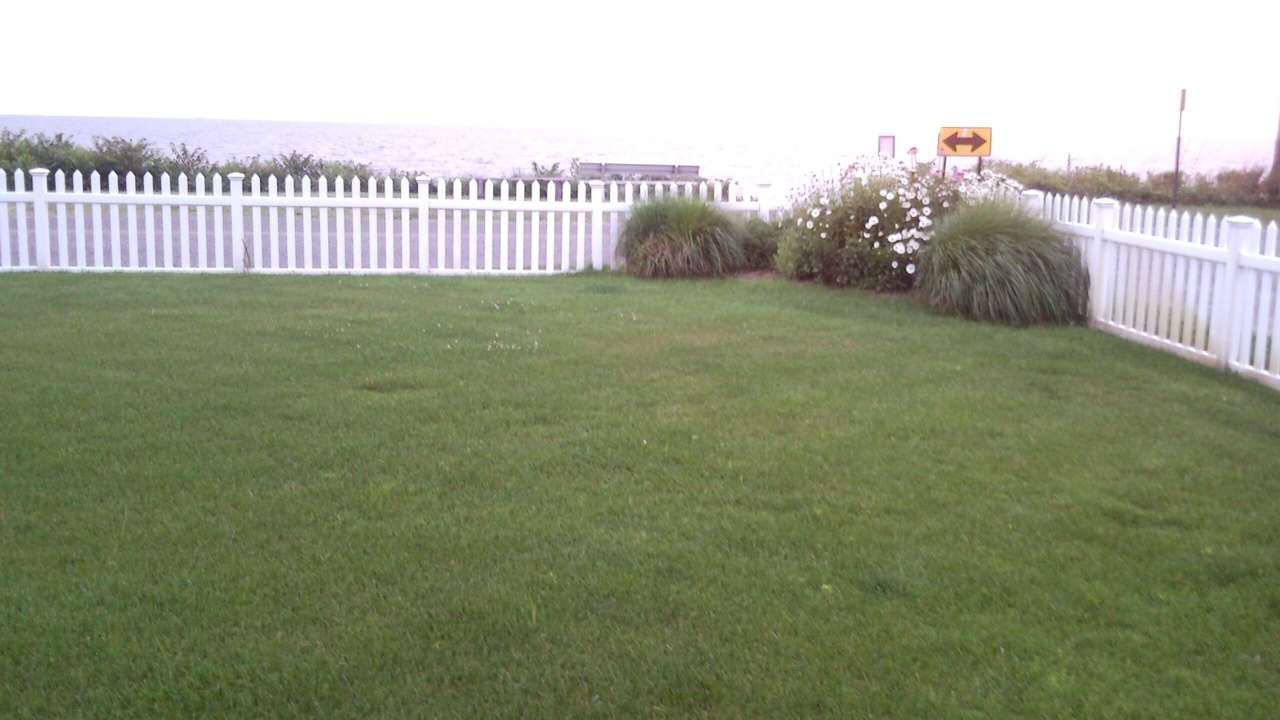 Photo of Others in North Cape May