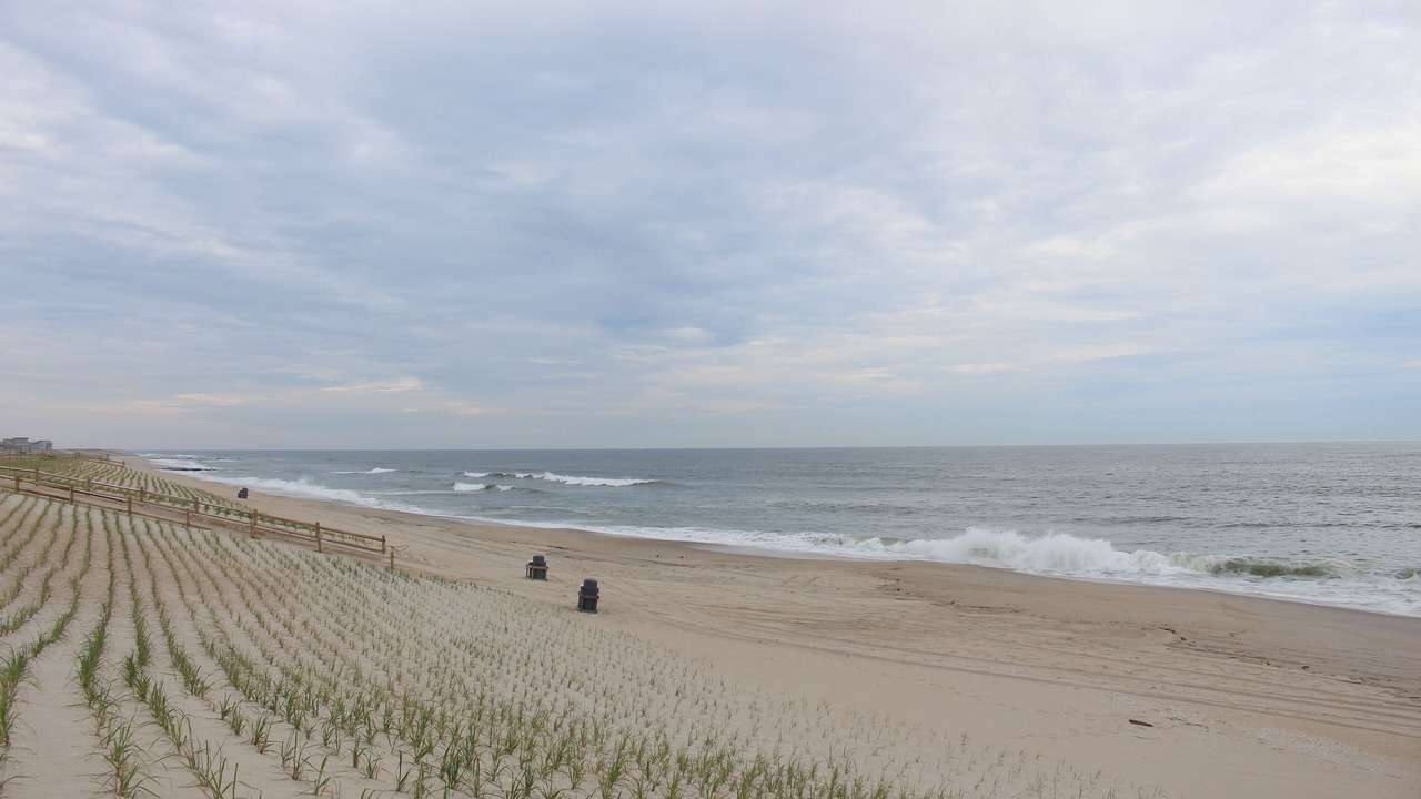 Photo of Others in North Beach Haven