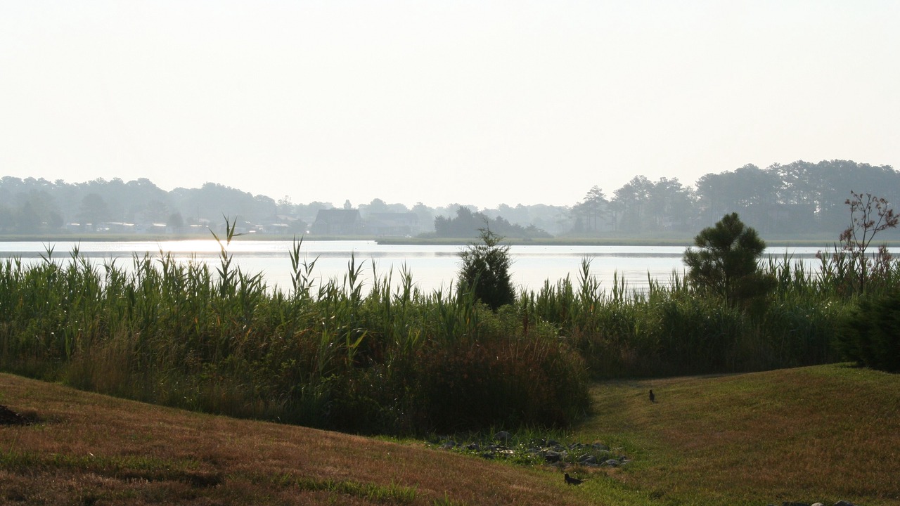 Photo of Outdoor in Ocean View