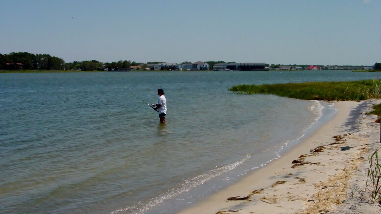 Photo of Others in Ocean View