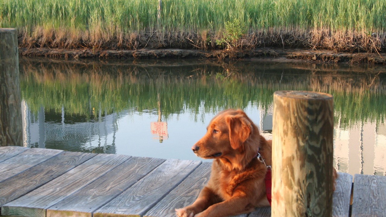 Photo of Outdoor in Ocean View