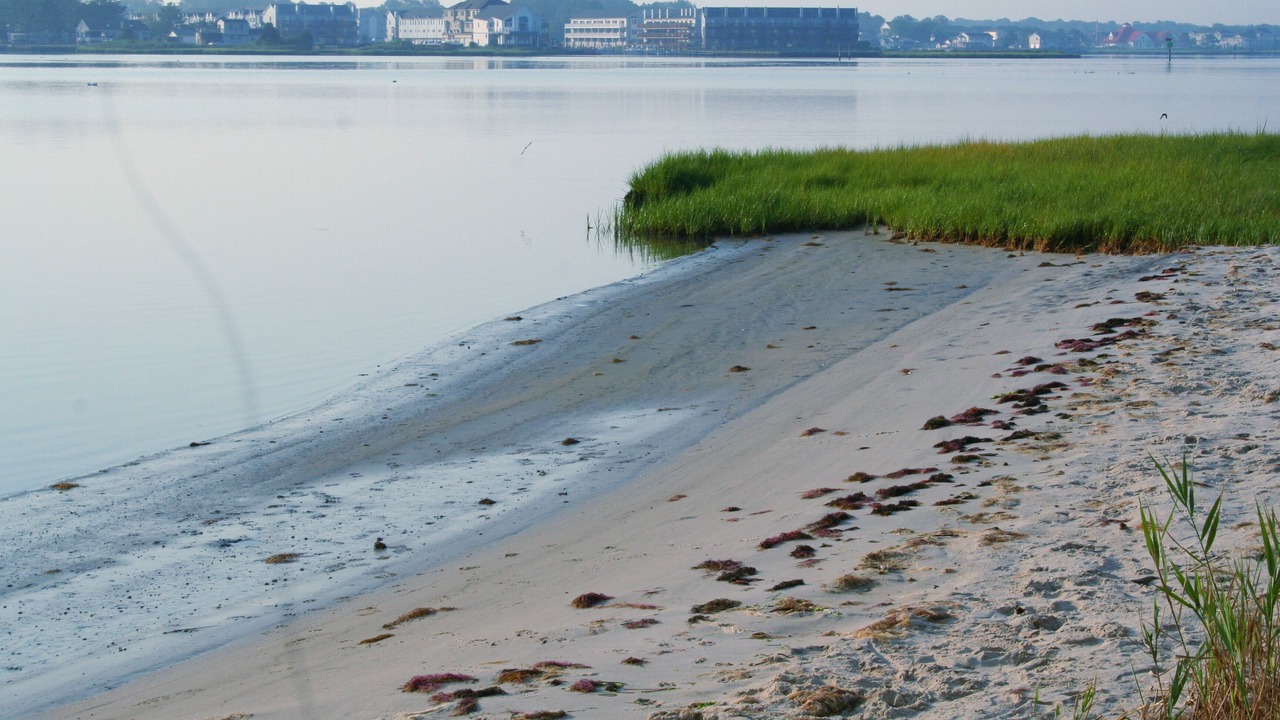 Photo of Others in Ocean View