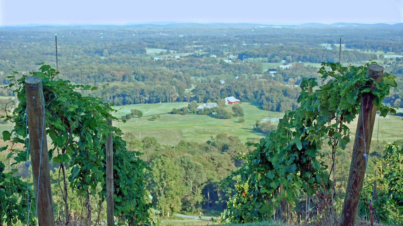 Photo of Others in Philomont